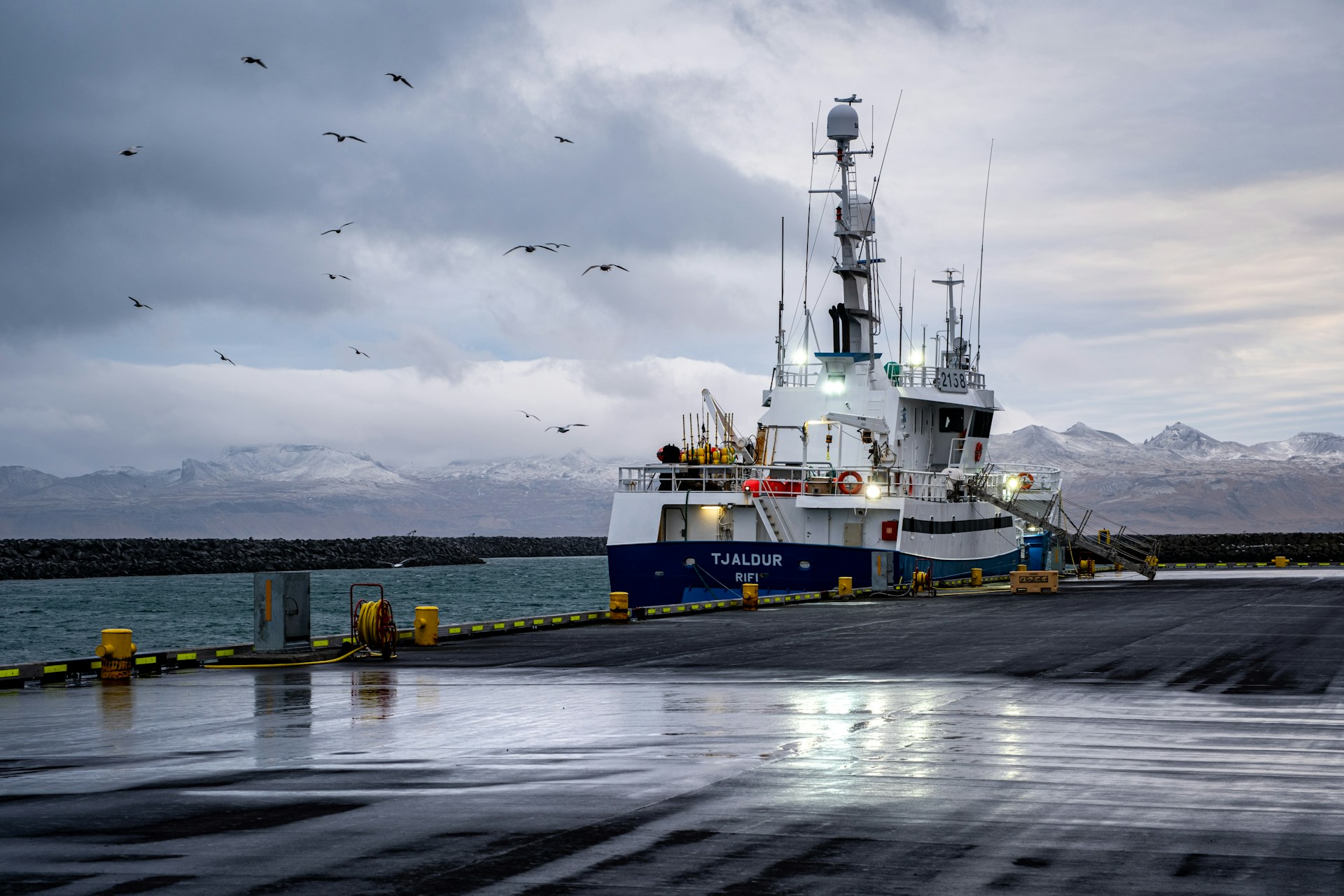 Aquaculture digitalization: Boosting businesses with data-driven decisions